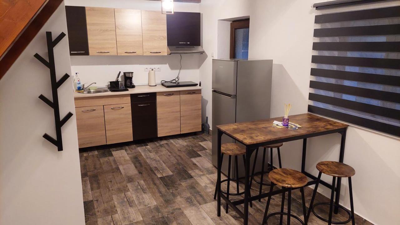 Sasca Montană Casa Nouaヴィラ エクステリア 写真