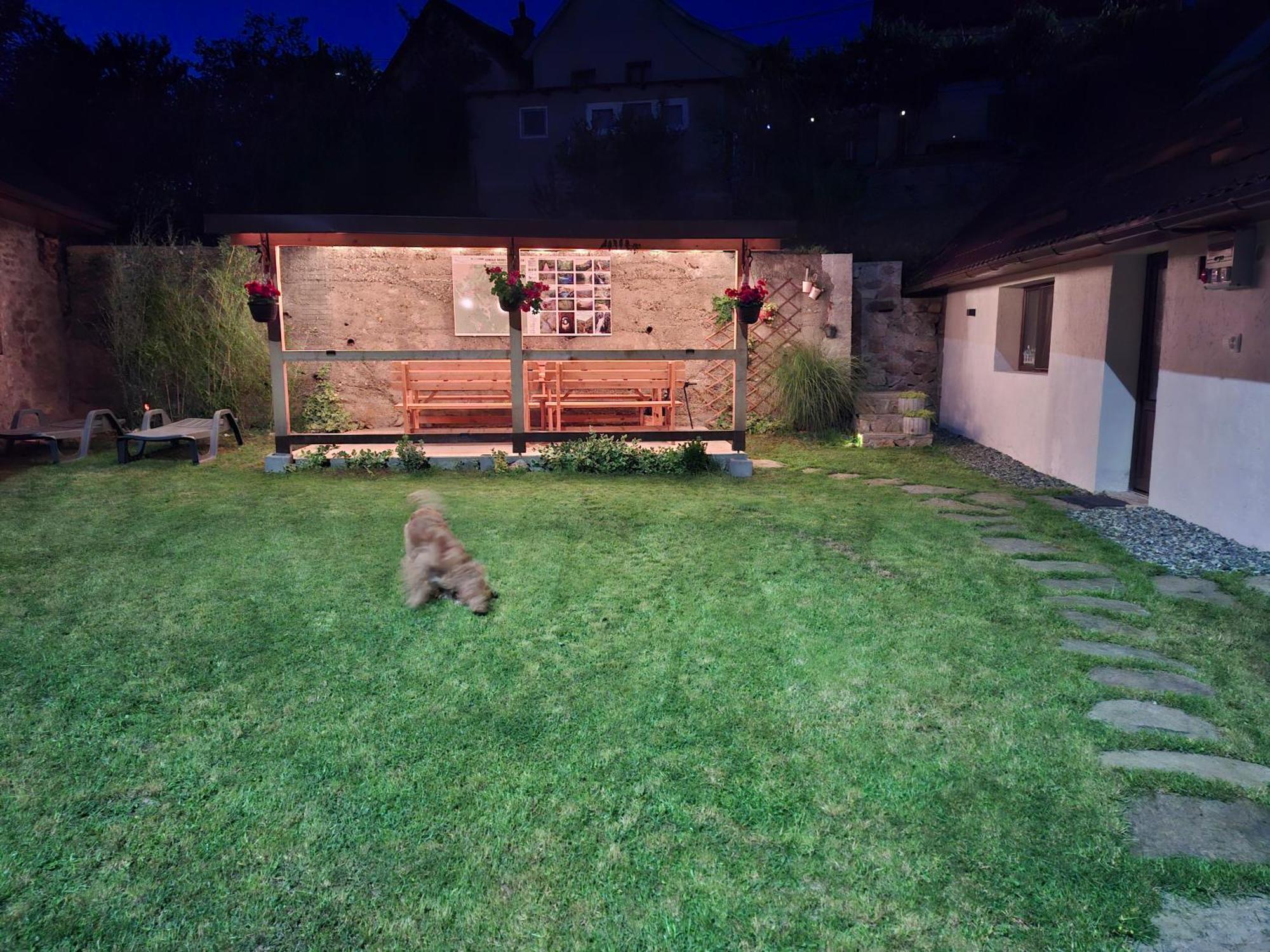 Sasca Montană Casa Nouaヴィラ エクステリア 写真