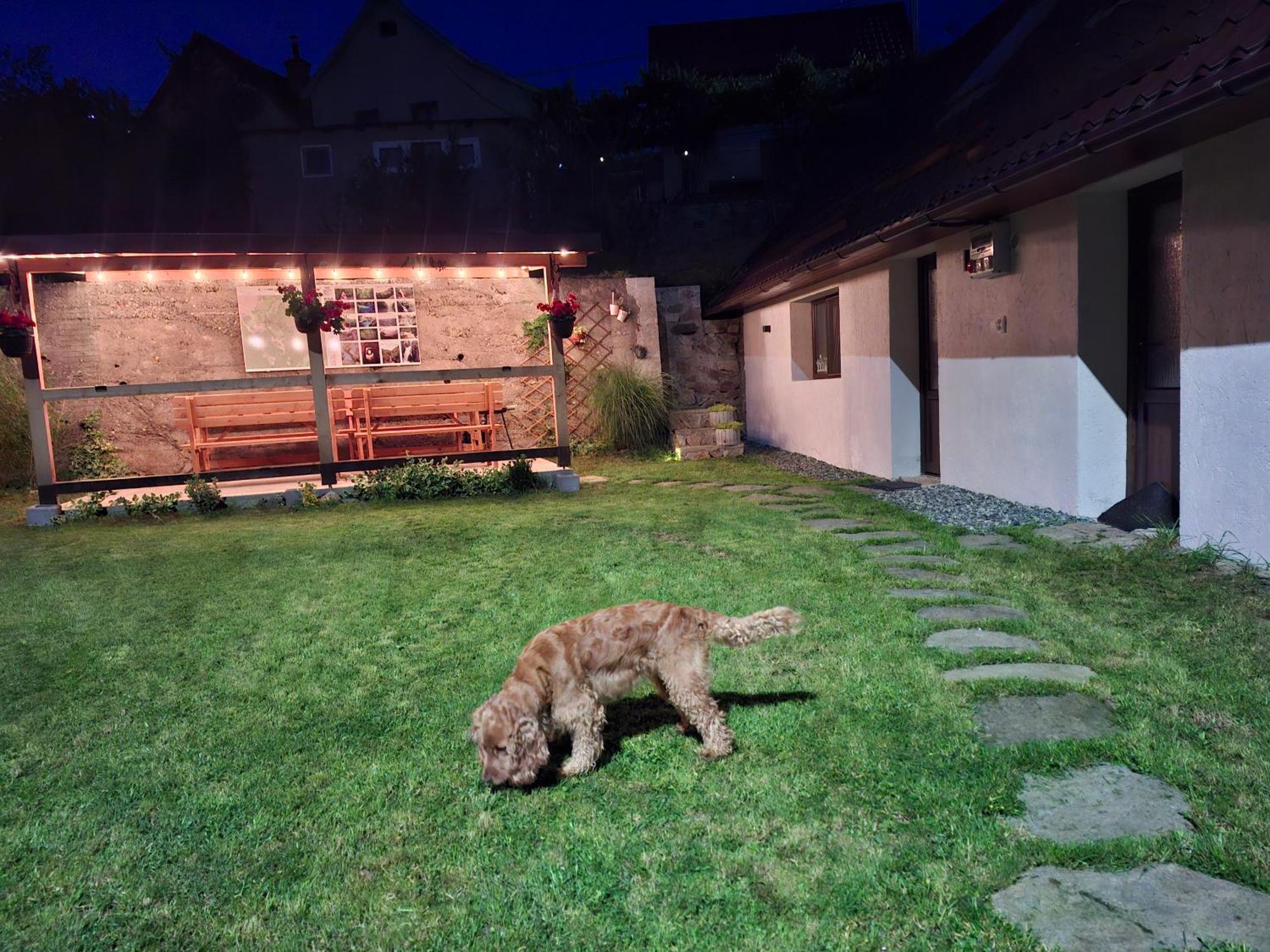 Sasca Montană Casa Nouaヴィラ エクステリア 写真